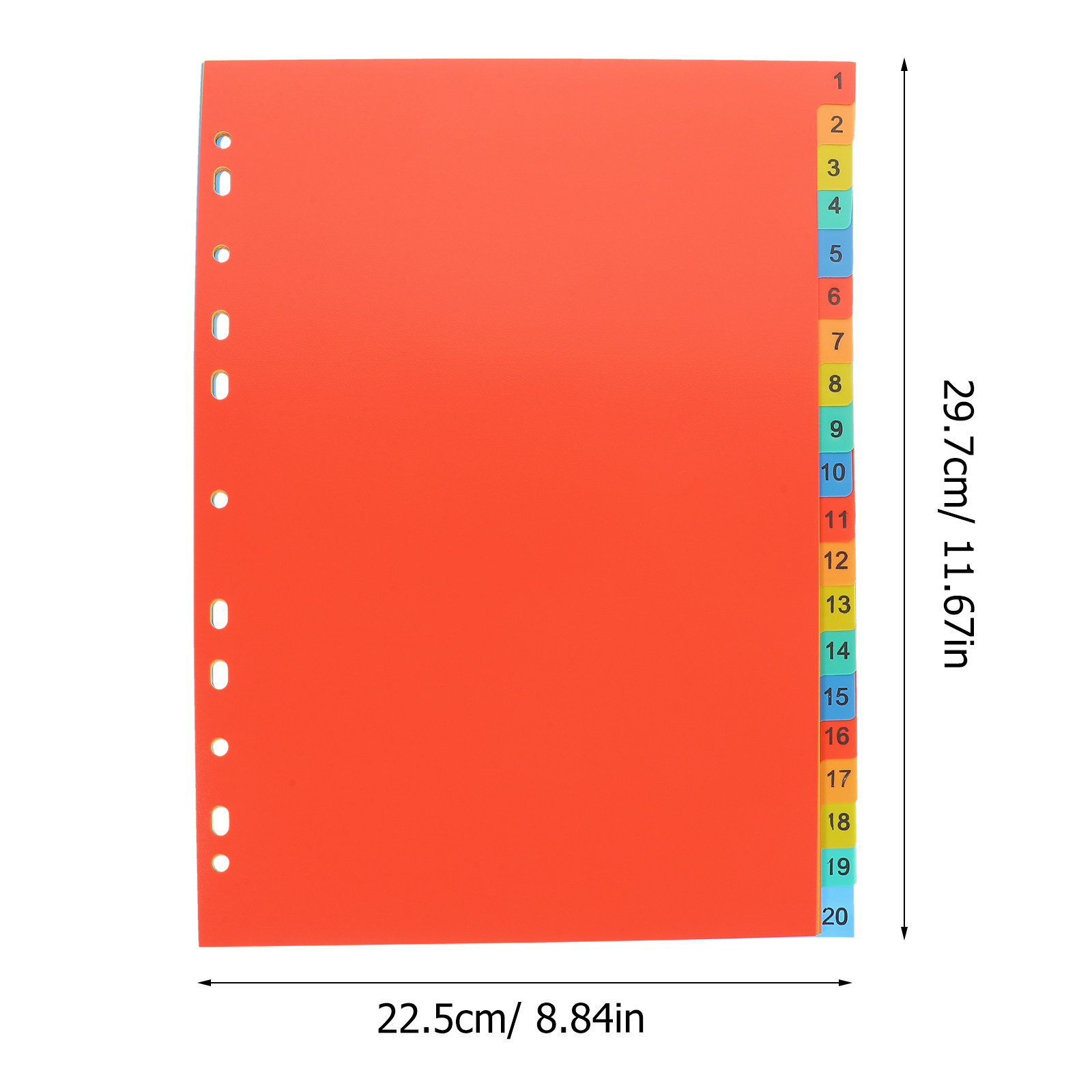 20Sheets A4 Tabbed Binder Divi - Tab Divider A4 recension och pris